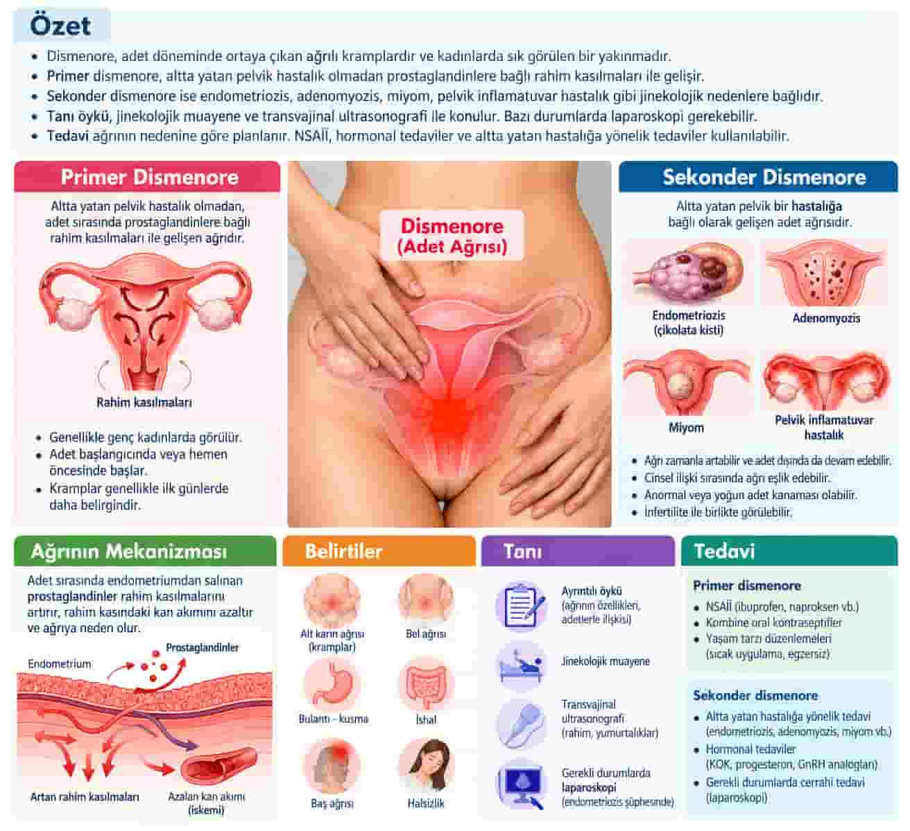 Dismenore: Şiddetli Adet Ağrısı Neden Olur, Nasıl Tedavi Edilir?